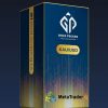 Gold Pecker EA MT4 v72 + SetFiles - خرید ربات معامله گر فارکس|سودآوری بالا|کم ریسک | اکسپرت فارکس Gold Pecker EA