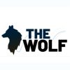 THE WOLF EA MT4 V211 - خرید ربات معامله گر فارکس|سودآوری بالا|کم ریسک | اکسپرت فارکس THE WOLF EA