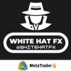 WHITE HAT FX EA v20 MT4 - خرید ربات معامله گر فارکس|سودآوری بالا|کم ریسک | اکسپرت فارکس WHITE HAT FX EA